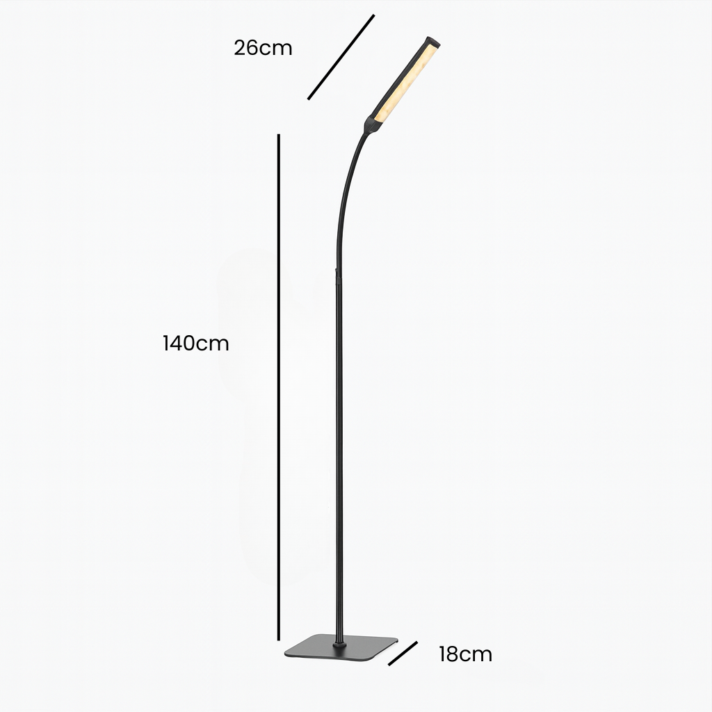 Black Standing Light - Nordic LED Floor Lamp