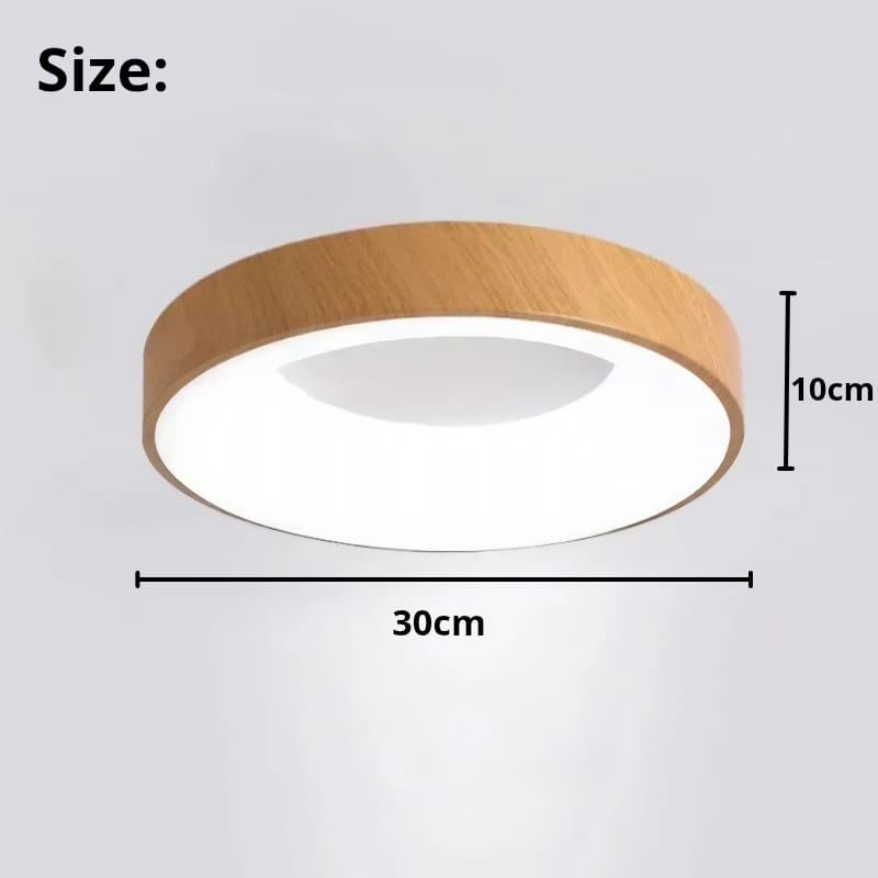 Circular Metal LED Ceiling Light