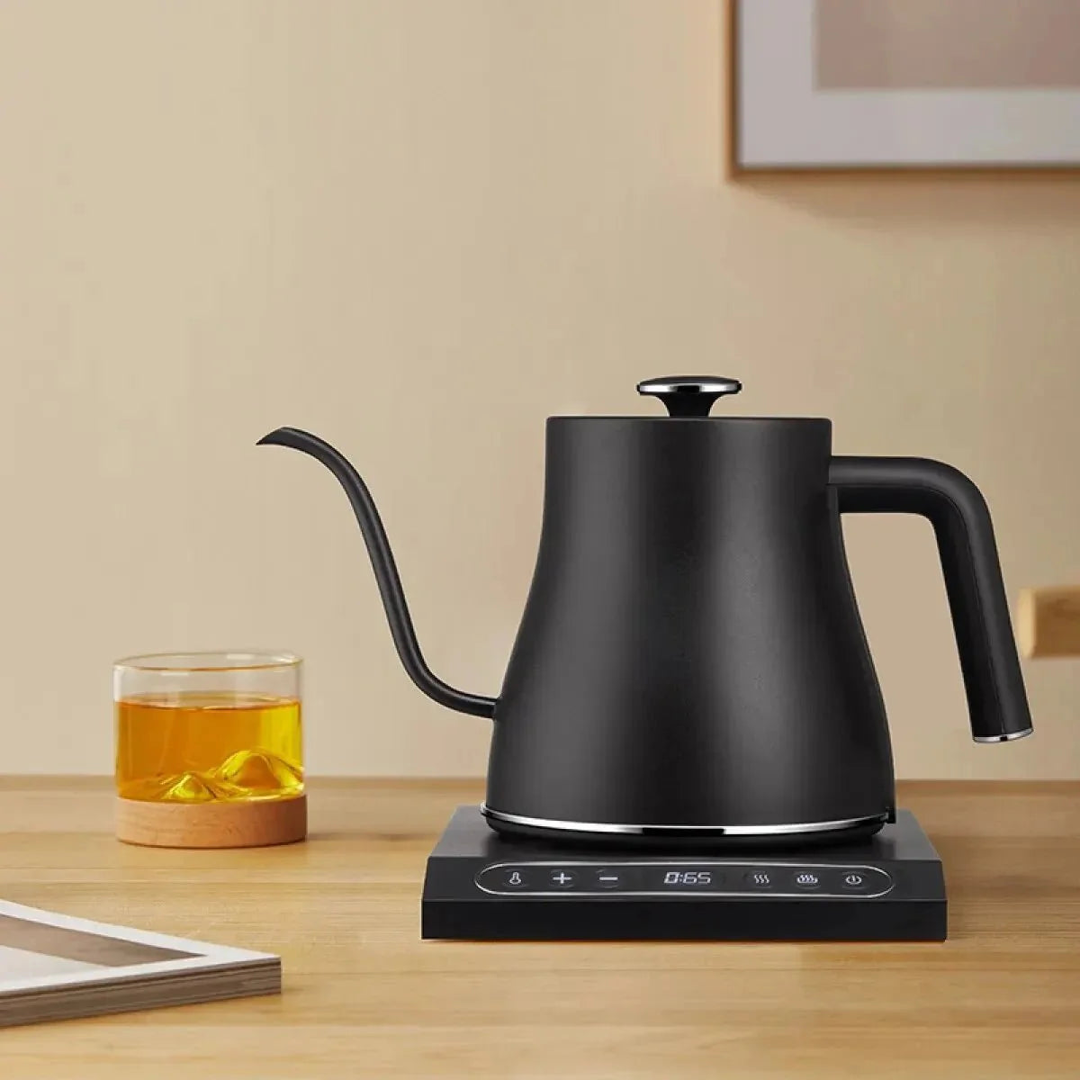 Electric Gooseneck Kettle