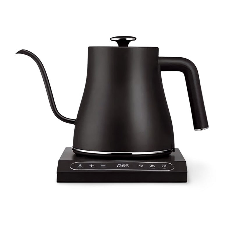 Electric Gooseneck Kettle