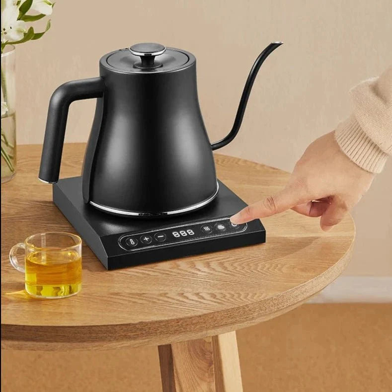 Electric Gooseneck Kettle