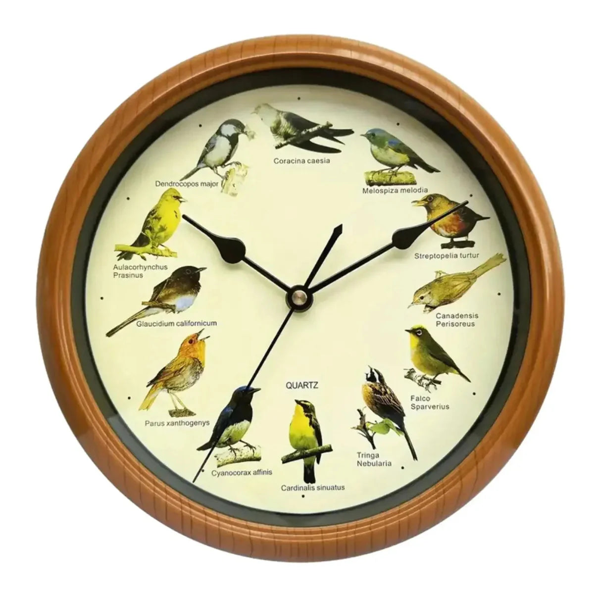 Wall Clock Decorative Timepiece Bird Chirping Sounds
