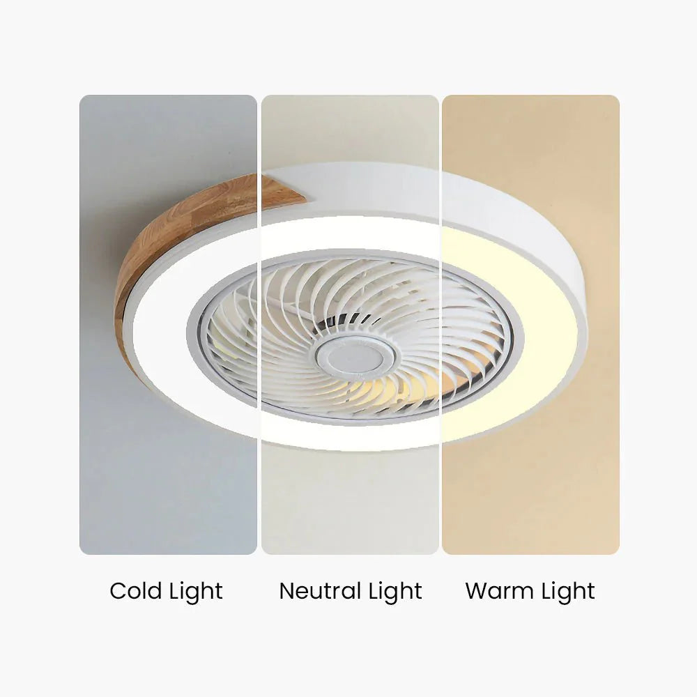 Wood Ceiling Fans with LED Lights